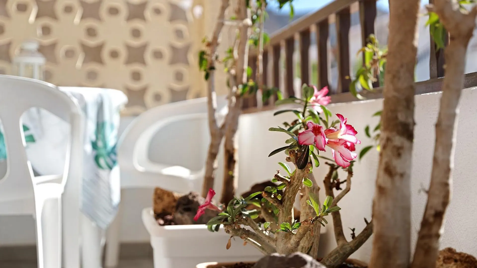 Apartment Bonito Apartamento Miraverde Pool Costa Adeje